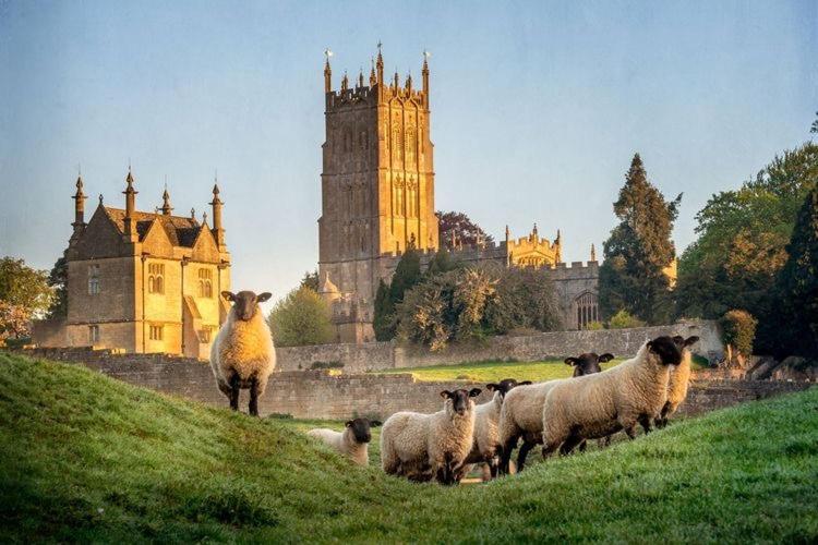 Cotswold Chic Retreats "Jacinabox" Central Chipping Campden-Parking-Garden 外观 照片